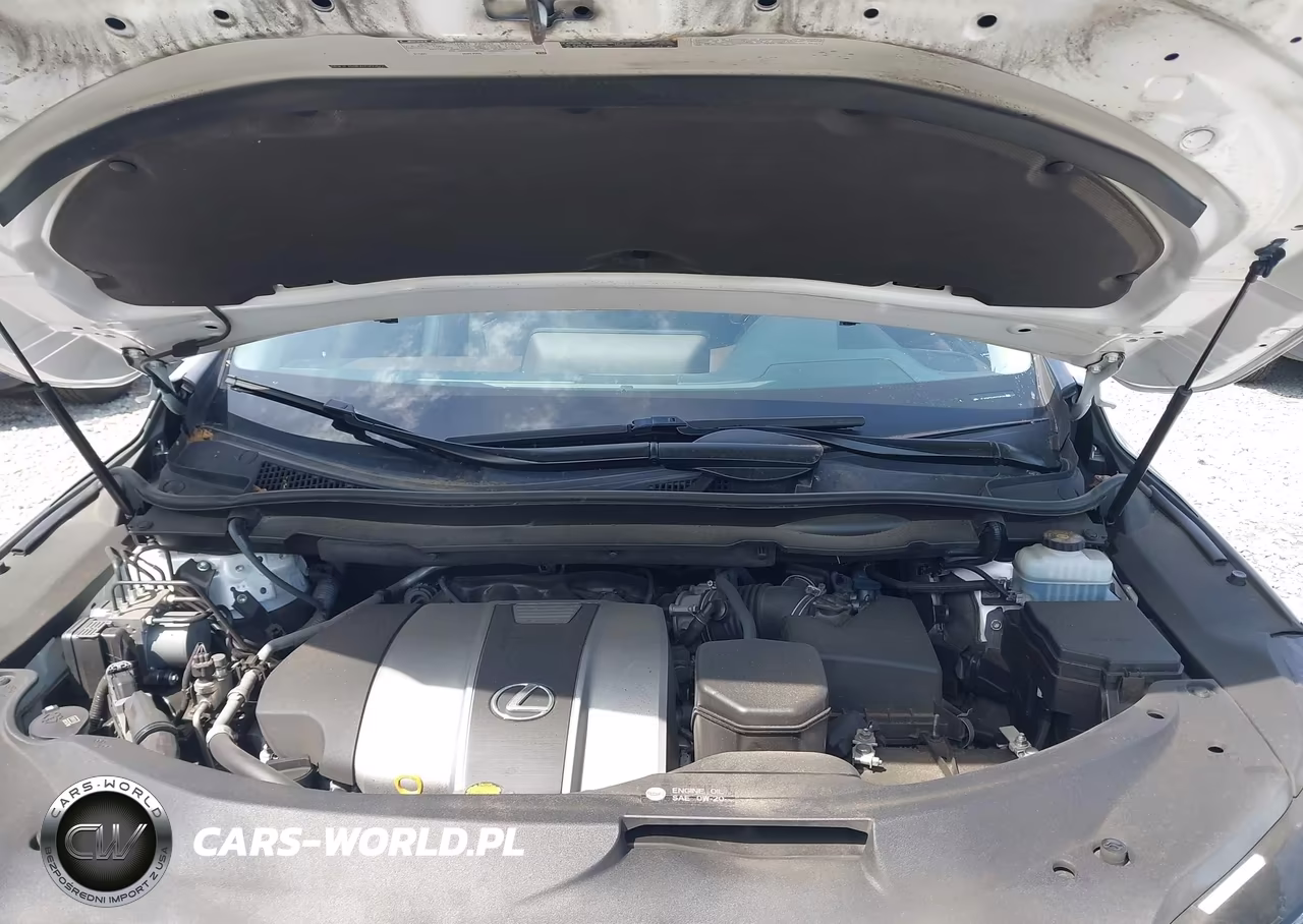 2016 Lexus Rx 350 VIN:JTJBZMCA6G2004270 - 10