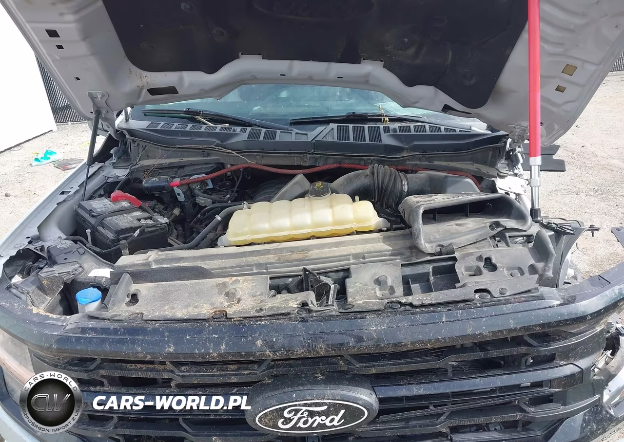 2025 Ford F-150 Xlt VIN:1FTEW3K5XSKE09757 - 10