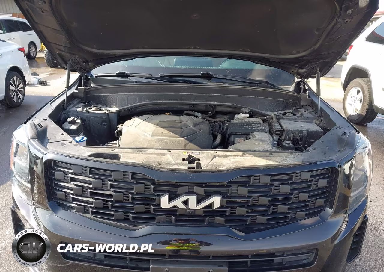 2022 Kia Telluride Sx VIN:5XYP5DHC8NG270875 - 10