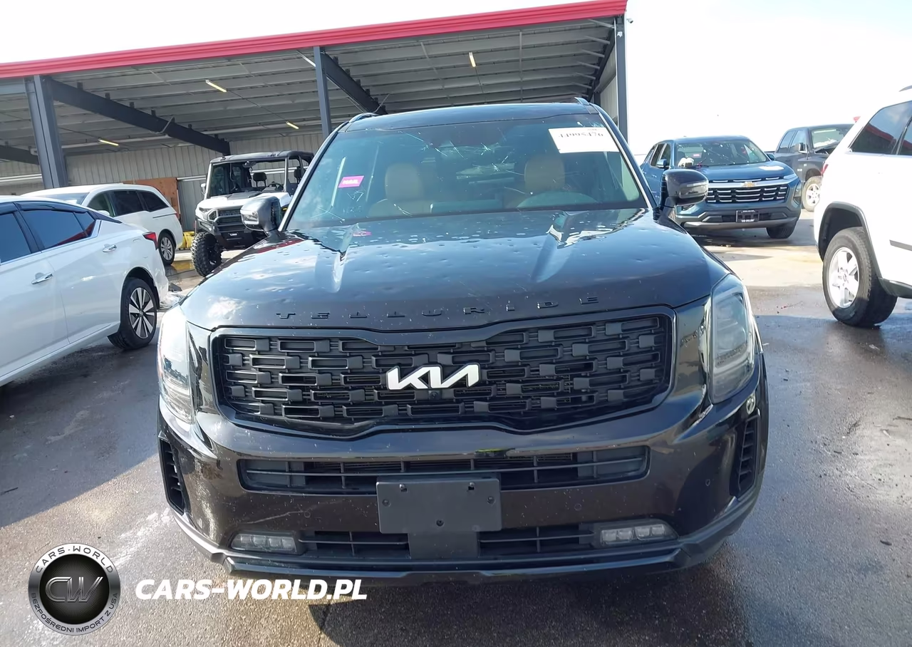 2022 Kia Telluride Sx VIN:5XYP5DHC8NG270875 - 12