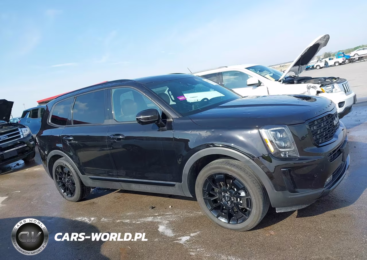 2022 Kia Telluride Sx VIN:5XYP5DHC8NG270875 - 13