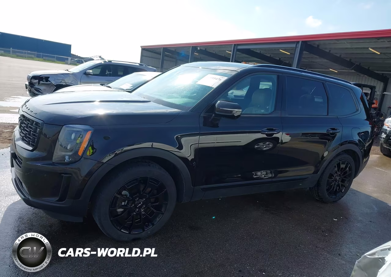 2022 Kia Telluride Sx VIN:5XYP5DHC8NG270875 - 14