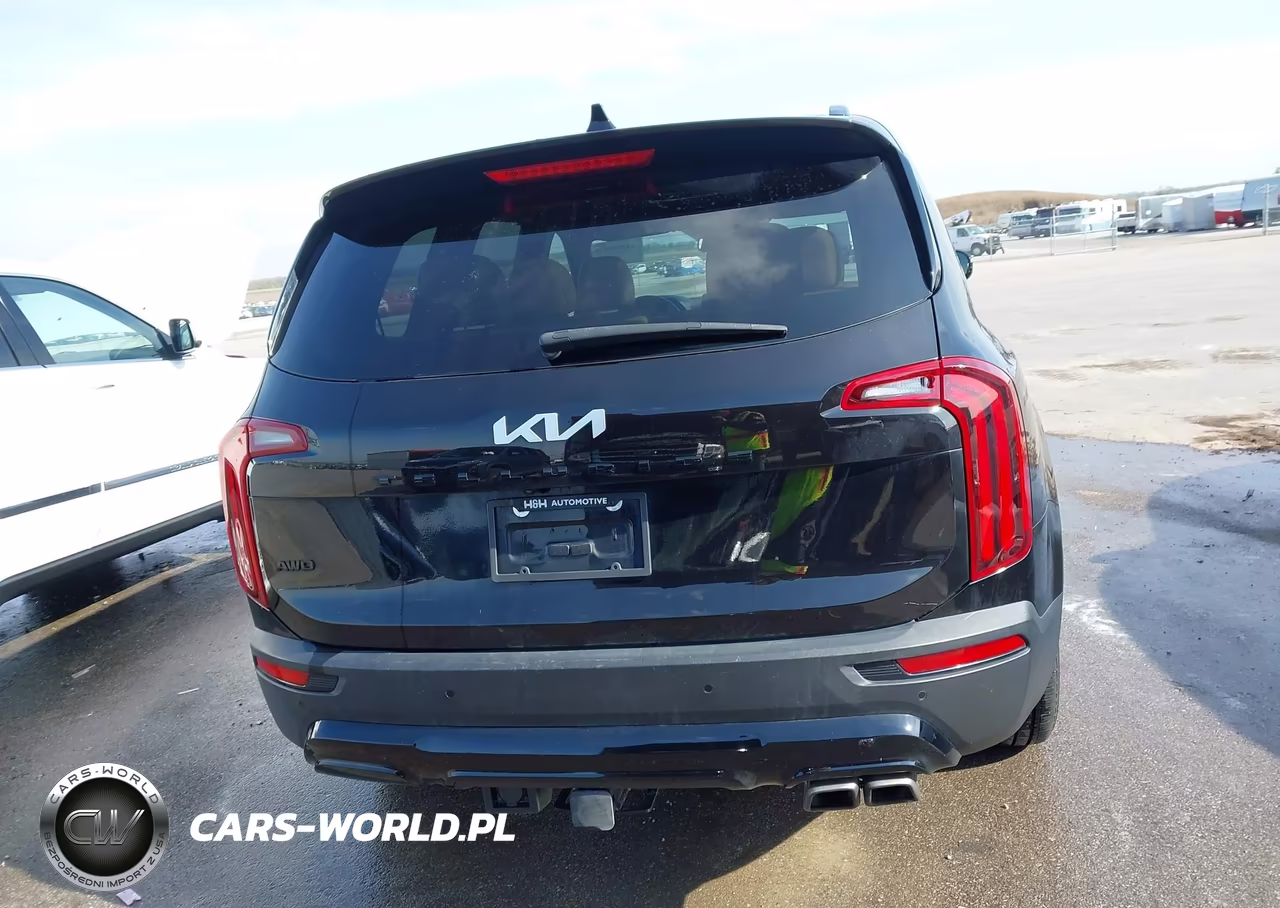 2022 Kia Telluride Sx VIN:5XYP5DHC8NG270875 - 16