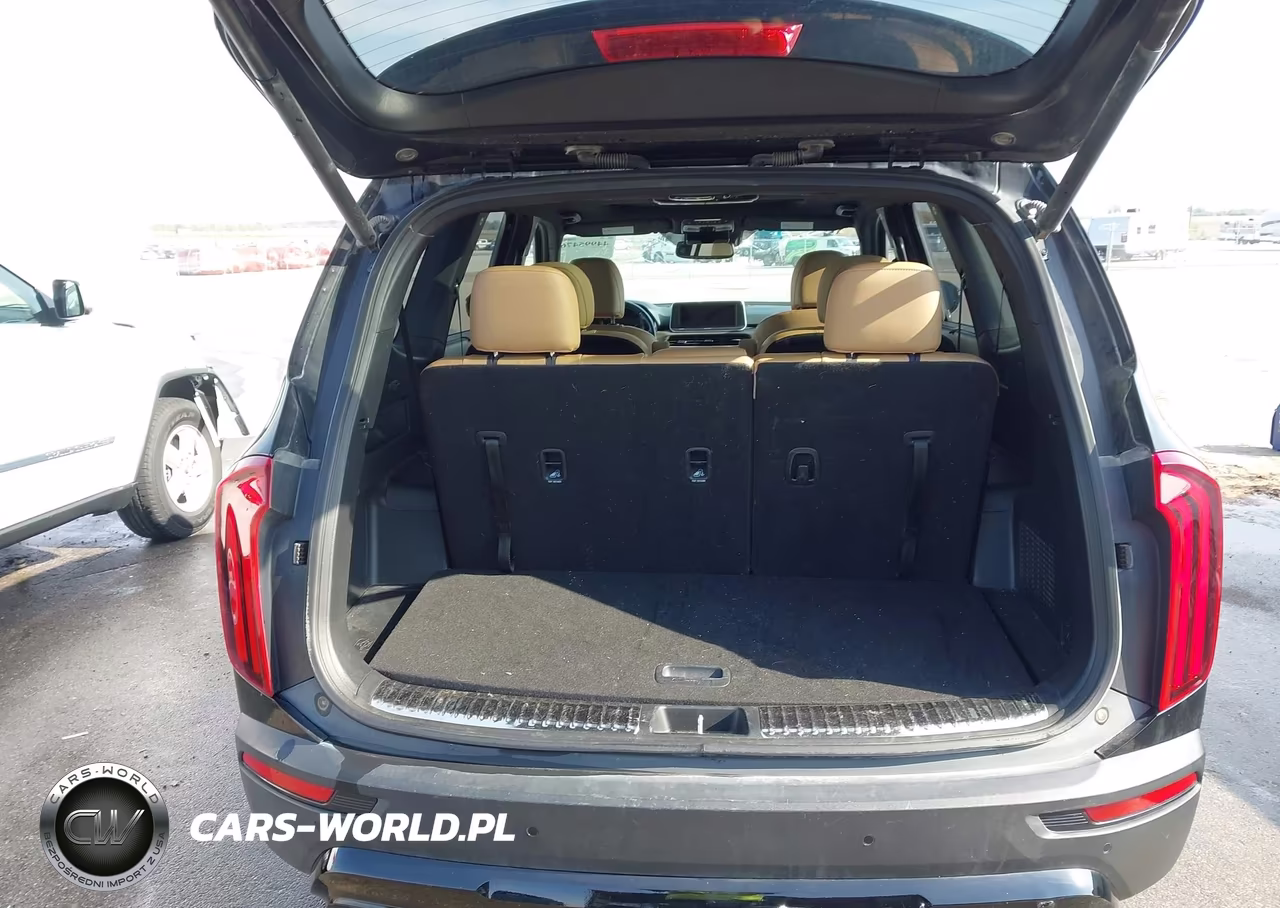 2022 Kia Telluride Sx VIN:5XYP5DHC8NG270875 - 17