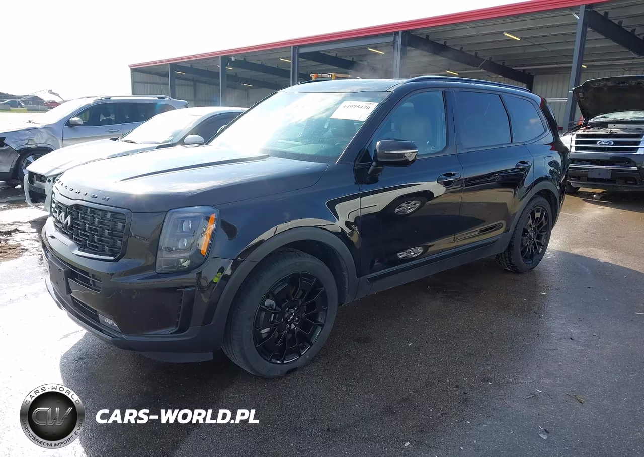 2022 Kia Telluride Sx VIN:5XYP5DHC8NG270875 - 2