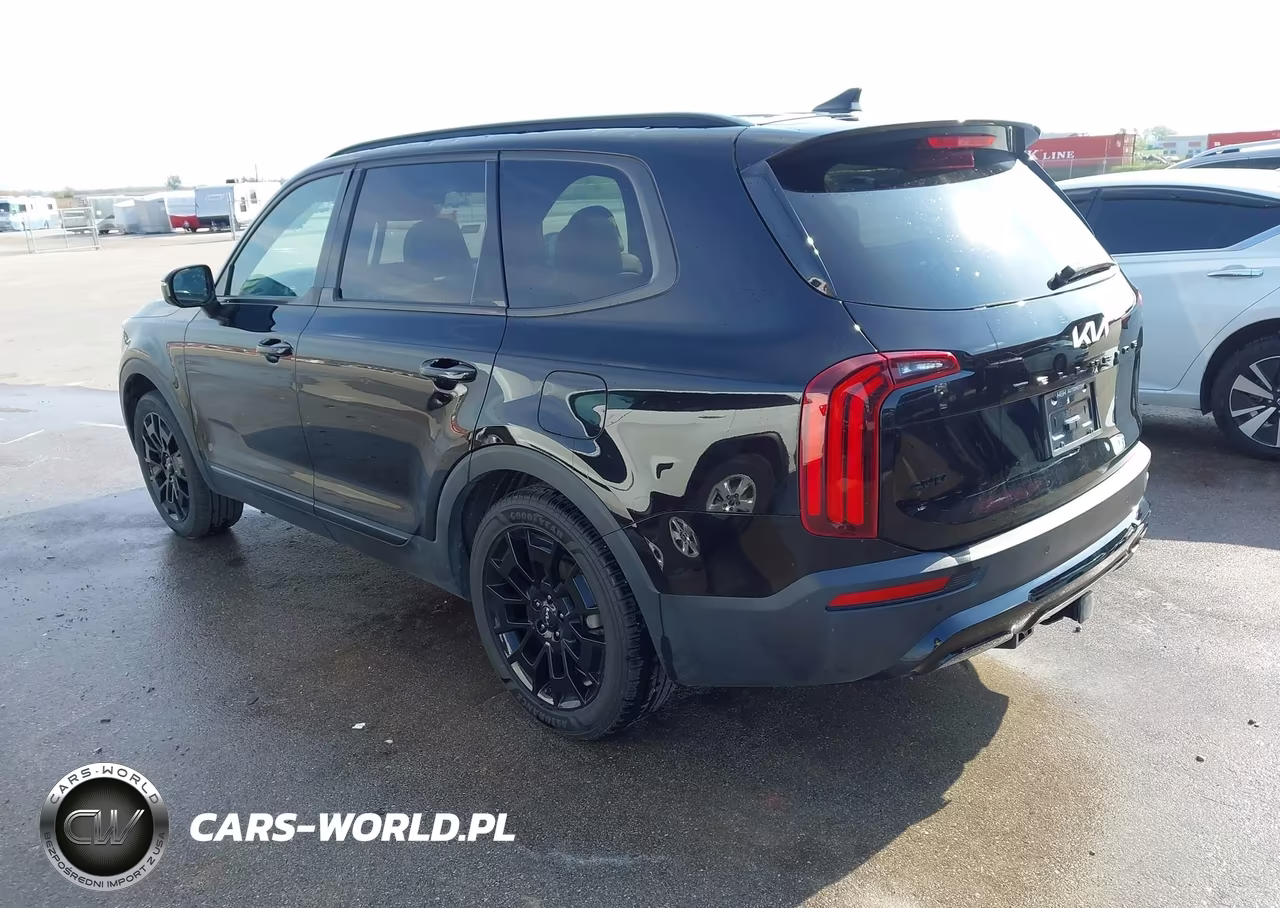 2022 Kia Telluride Sx VIN:5XYP5DHC8NG270875 - 3