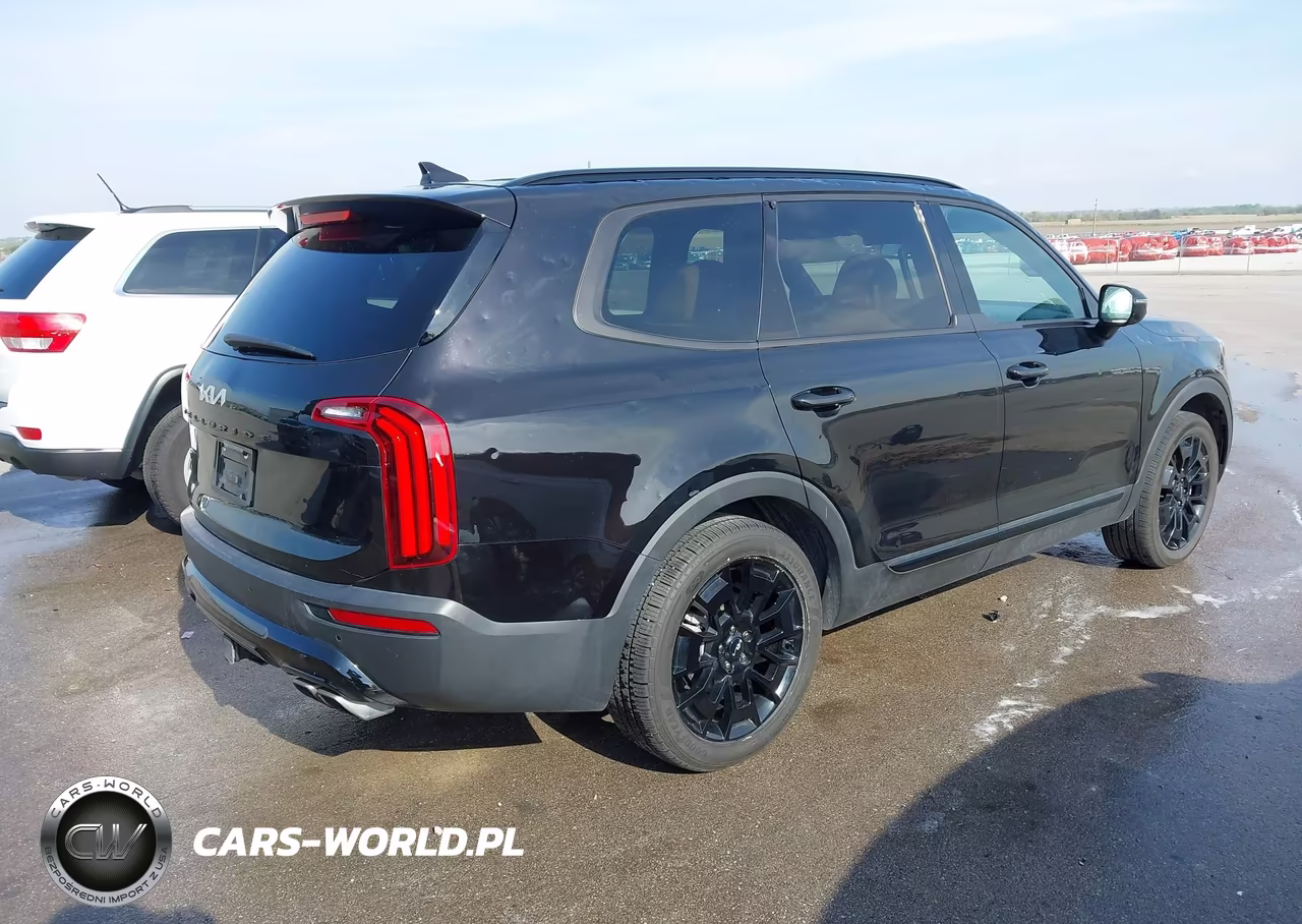 2022 Kia Telluride Sx VIN:5XYP5DHC8NG270875 - 4