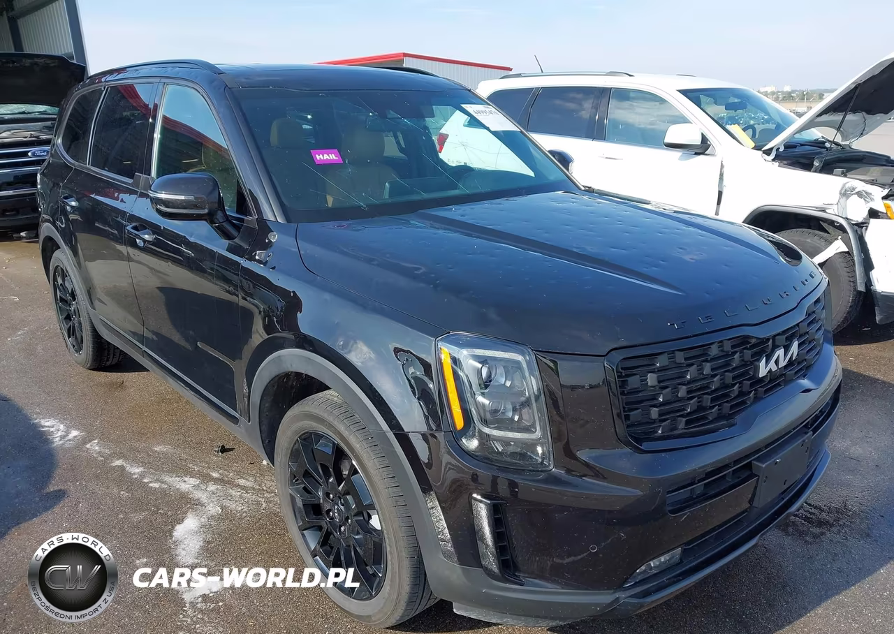 2022 Kia Telluride Sx VIN:5XYP5DHC8NG270875 - 6