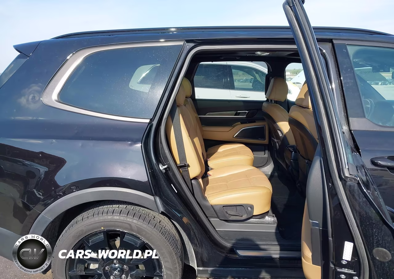 2022 Kia Telluride Sx VIN:5XYP5DHC8NG270875 - 8