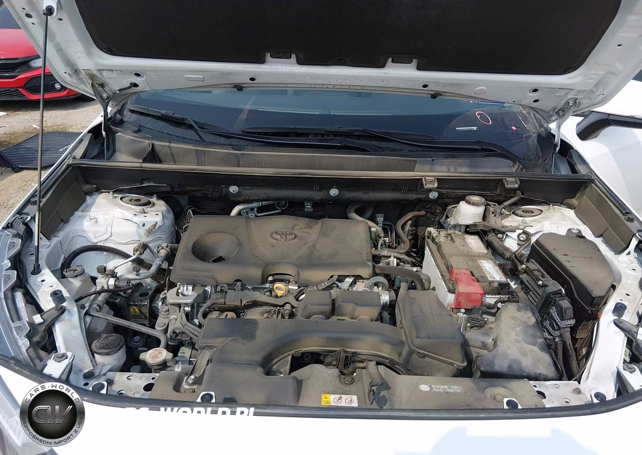 2024 Toyota Rav4 Xle VIN:2T3W1RFV8RW355599 - 10