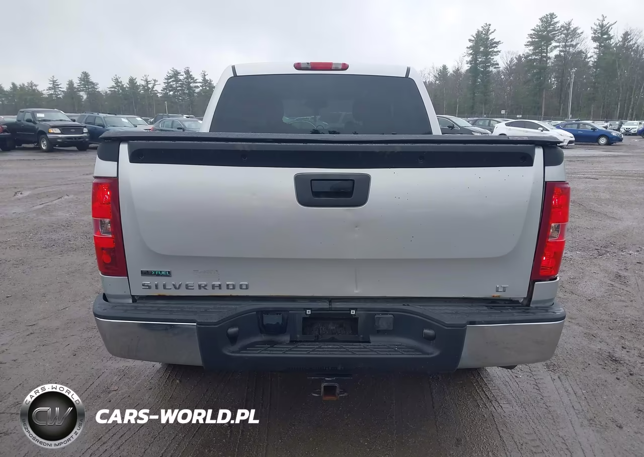 2010 Chevrolet Silverado 1500 Lt VIN:3GCRKSE34AG280177 - 17