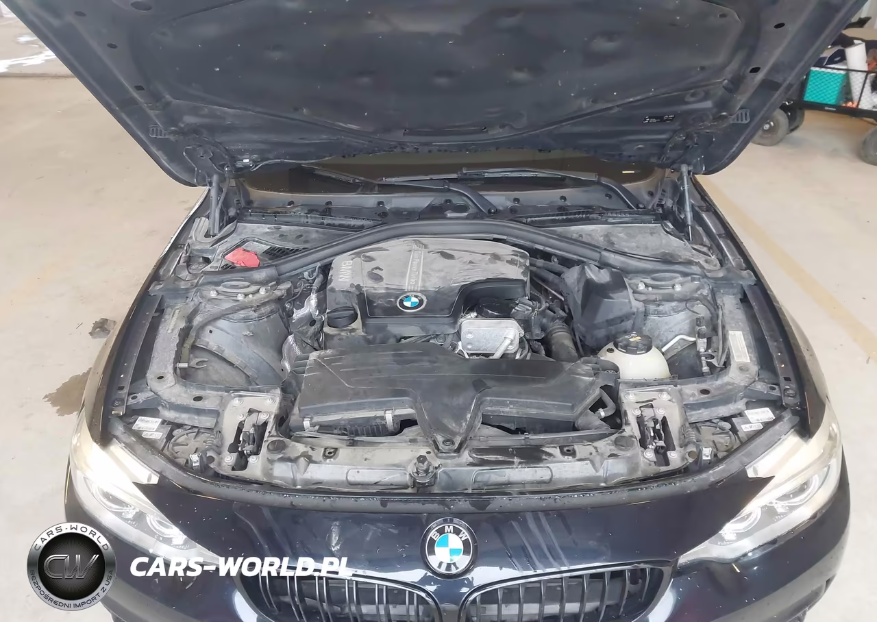 2016 BMW 428I Gran Coupe VIN:WBA4A9C52GG505644 - 10