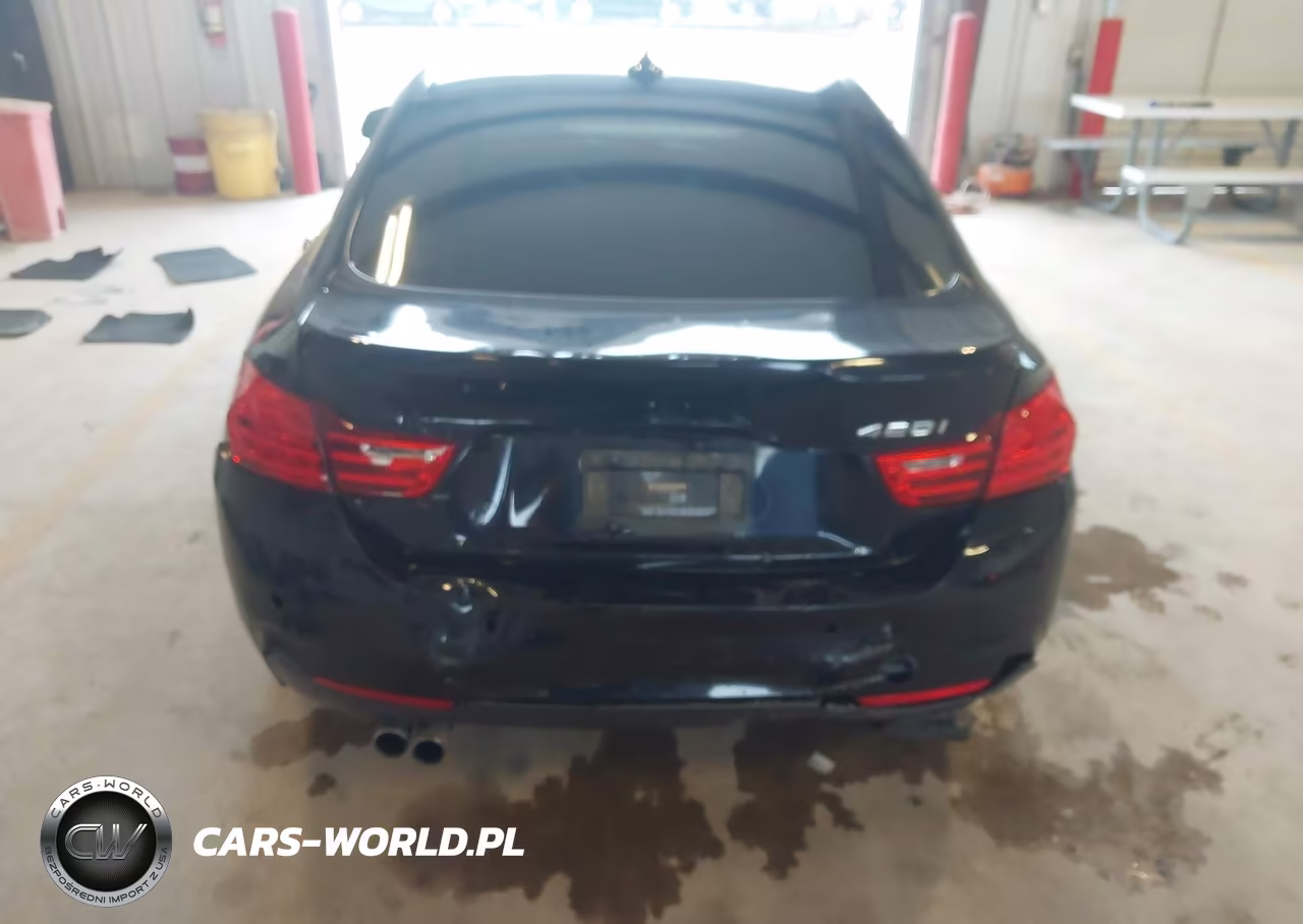 2016 BMW 428I Gran Coupe VIN:WBA4A9C52GG505644 - 16