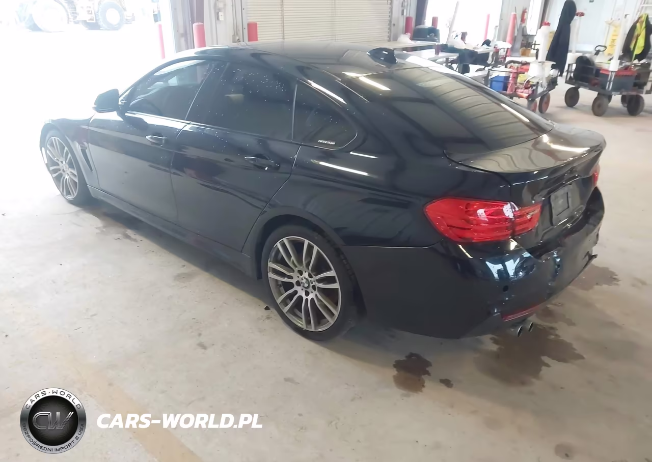 2016 BMW 428I Gran Coupe VIN:WBA4A9C52GG505644 - 3