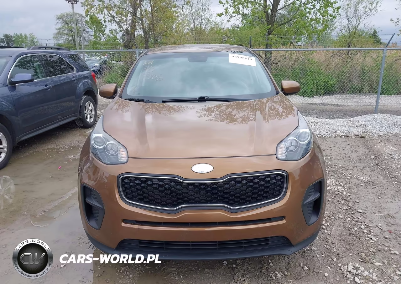 2019 Kia Sportage Lx VIN:KNDPM3AC5K7593944 - 12