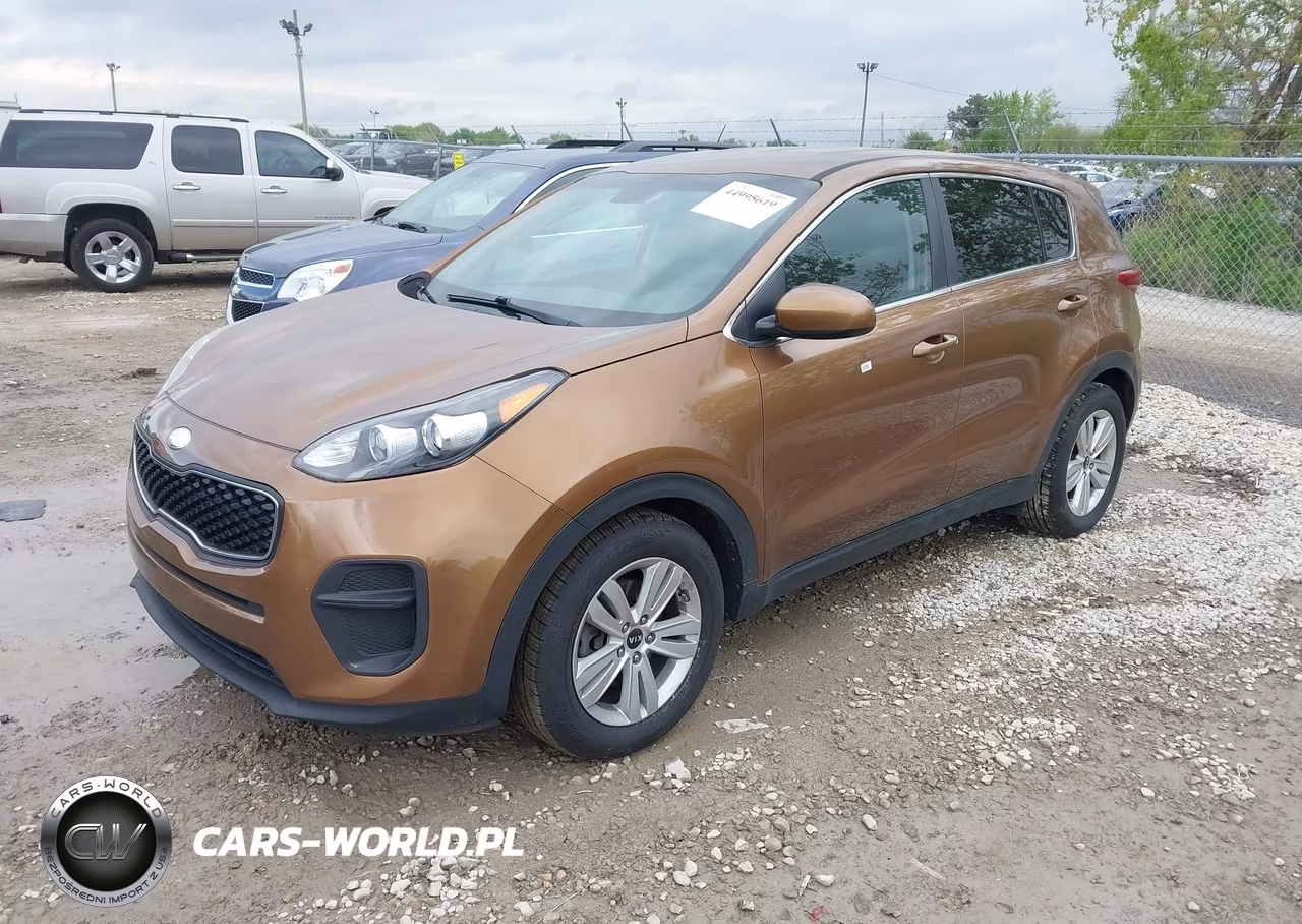 2019 Kia Sportage Lx VIN:KNDPM3AC5K7593944 - 2