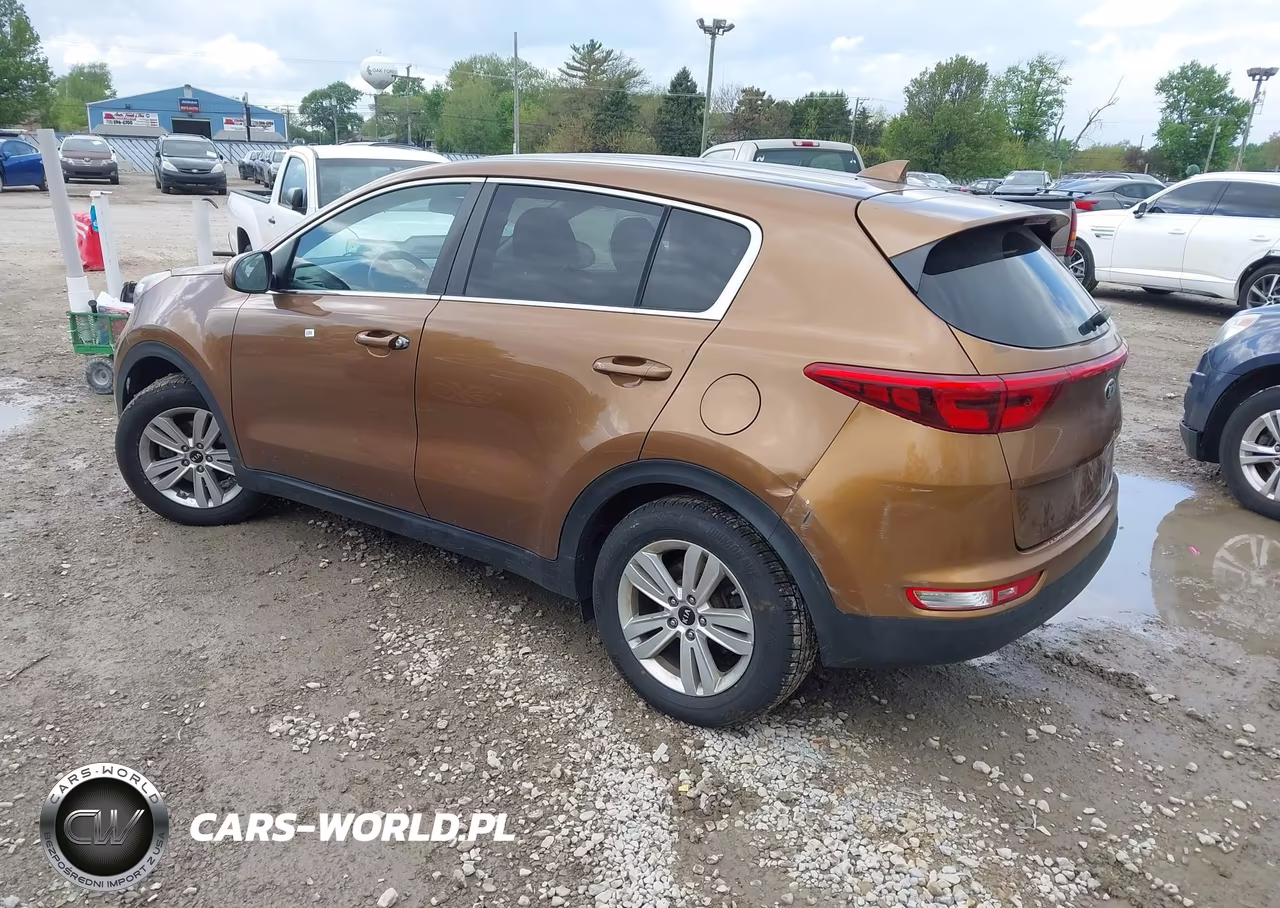 2019 Kia Sportage Lx VIN:KNDPM3AC5K7593944 - 3