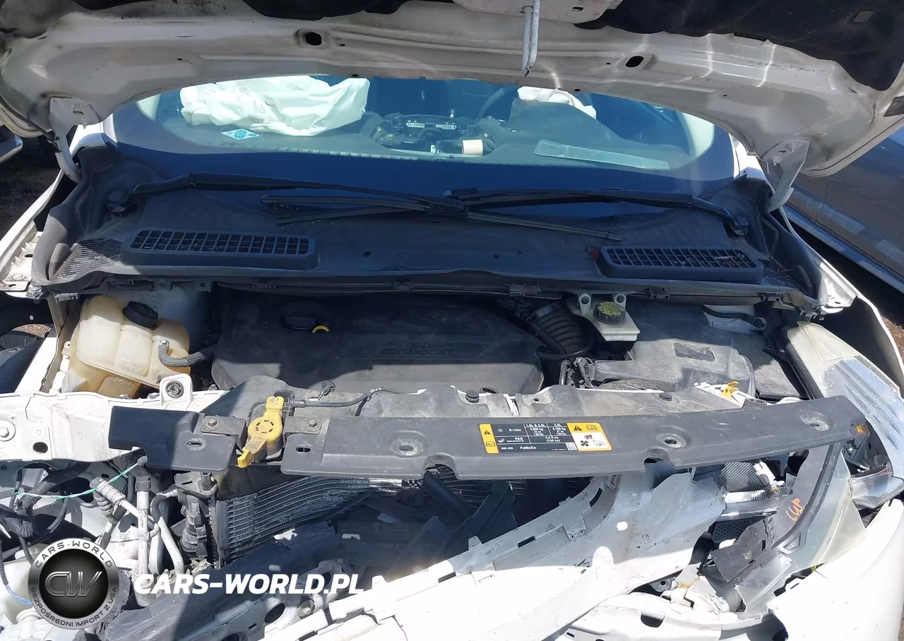 2014 Ford Escape Se VIN:1FMCU0GX3EUC51188 - 10