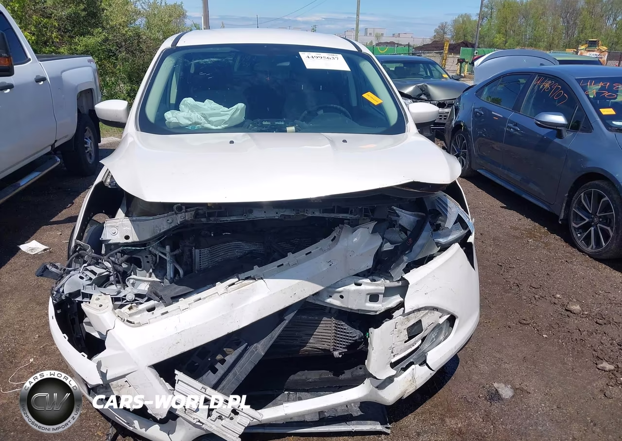 2014 Ford Escape Se VIN:1FMCU0GX3EUC51188 - 13