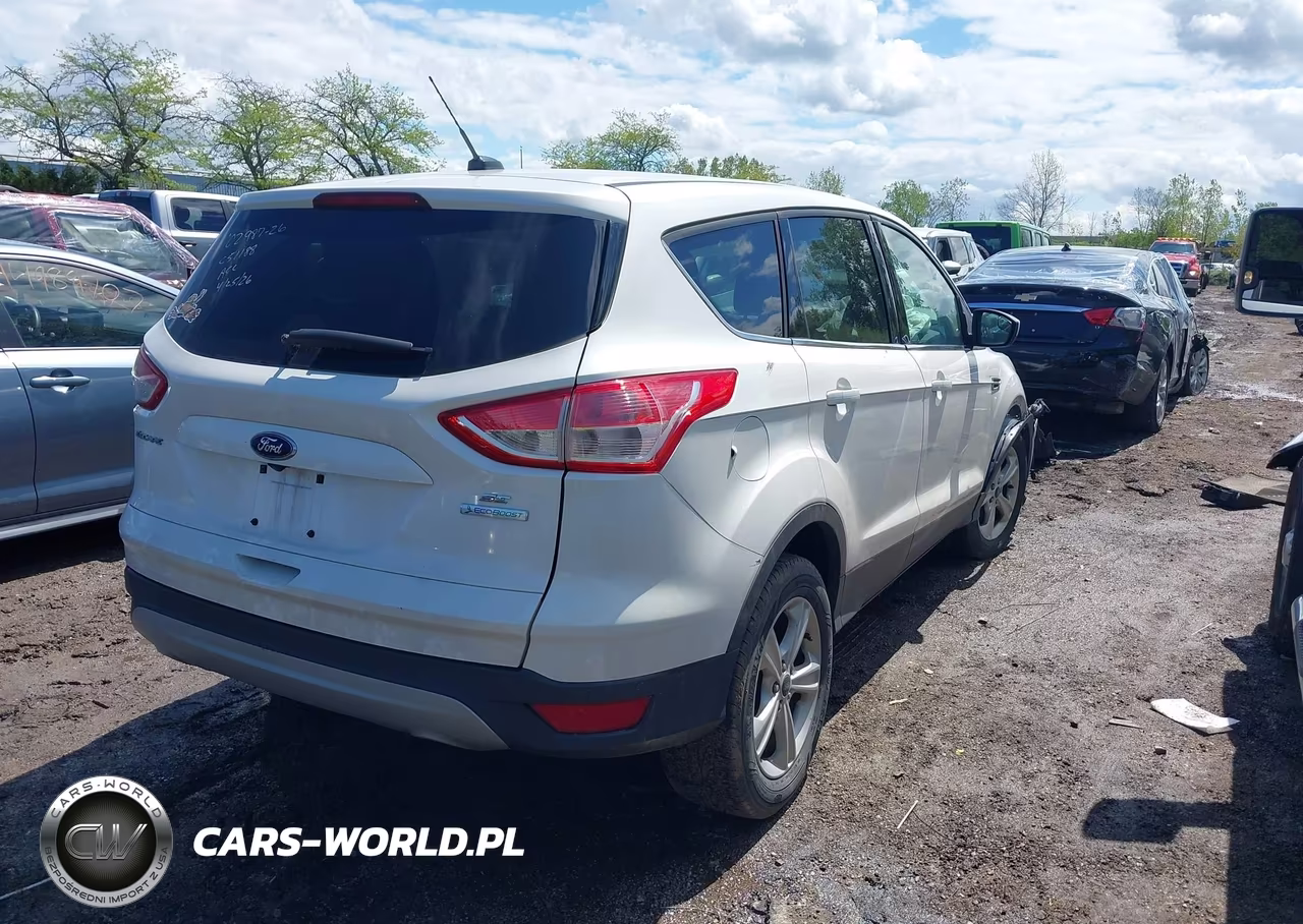 2014 Ford Escape Se VIN:1FMCU0GX3EUC51188 - 4