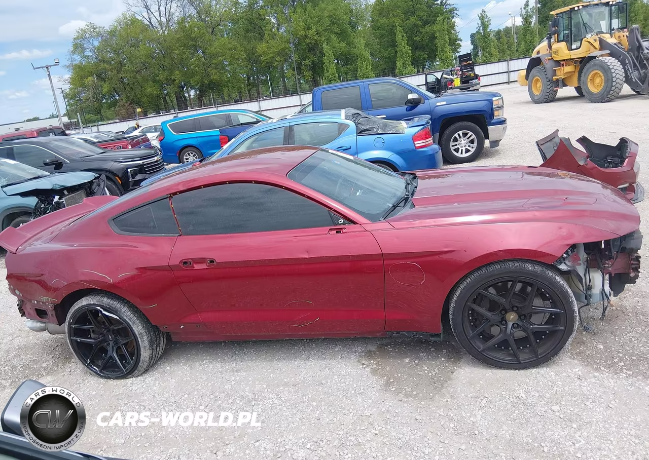 2015 Ford Mustang Gt Premium VIN:1FA6P8CF4F5425338 - 14