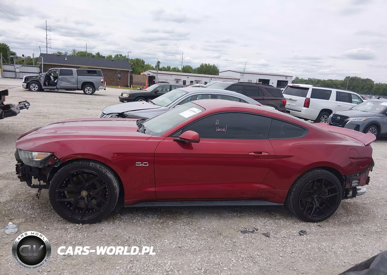 2015 Ford Mustang Gt Premium VIN:1FA6P8CF4F5425338 - 15