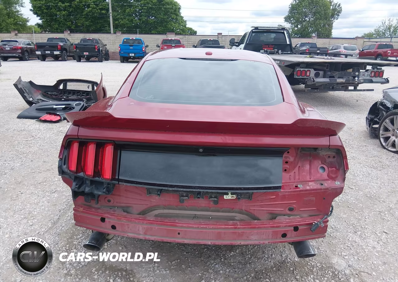 2015 Ford Mustang Gt Premium VIN:1FA6P8CF4F5425338 - 17