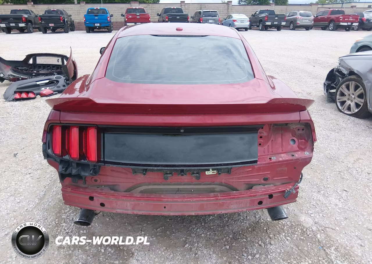 2015 Ford Mustang Gt Premium VIN:1FA6P8CF4F5425338 - 18