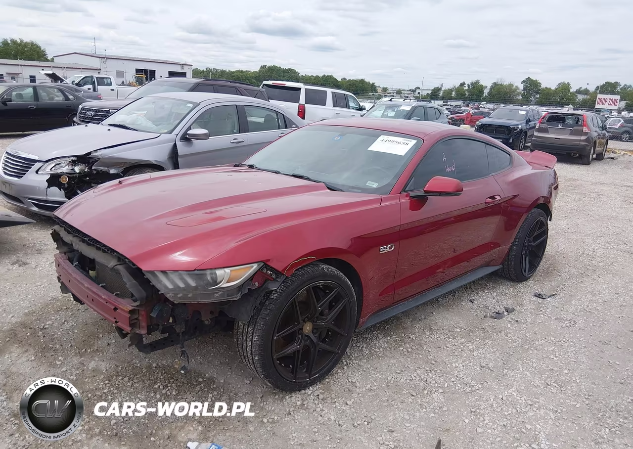 2015 Ford Mustang Gt Premium VIN:1FA6P8CF4F5425338 - 2