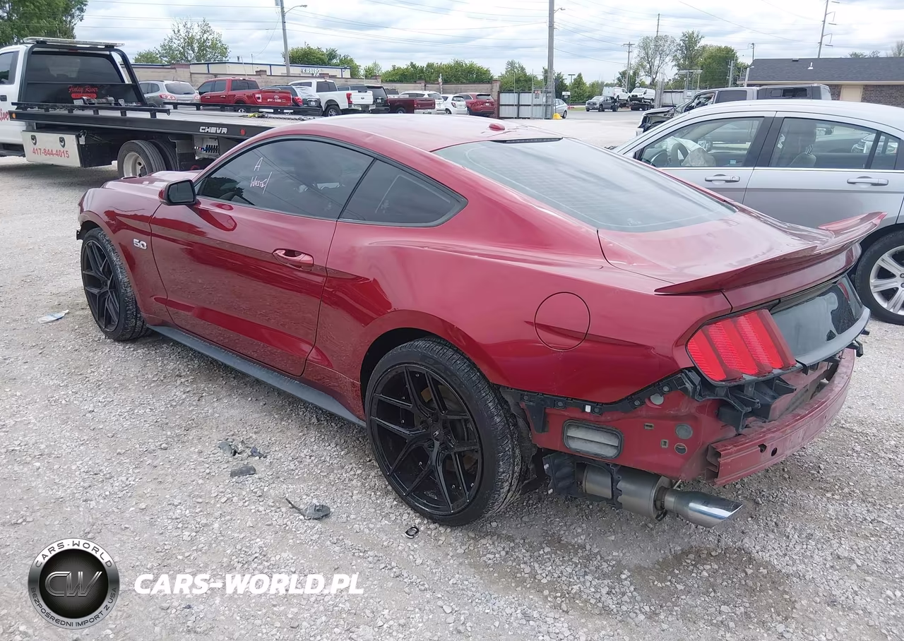 2015 Ford Mustang Gt Premium VIN:1FA6P8CF4F5425338 - 3