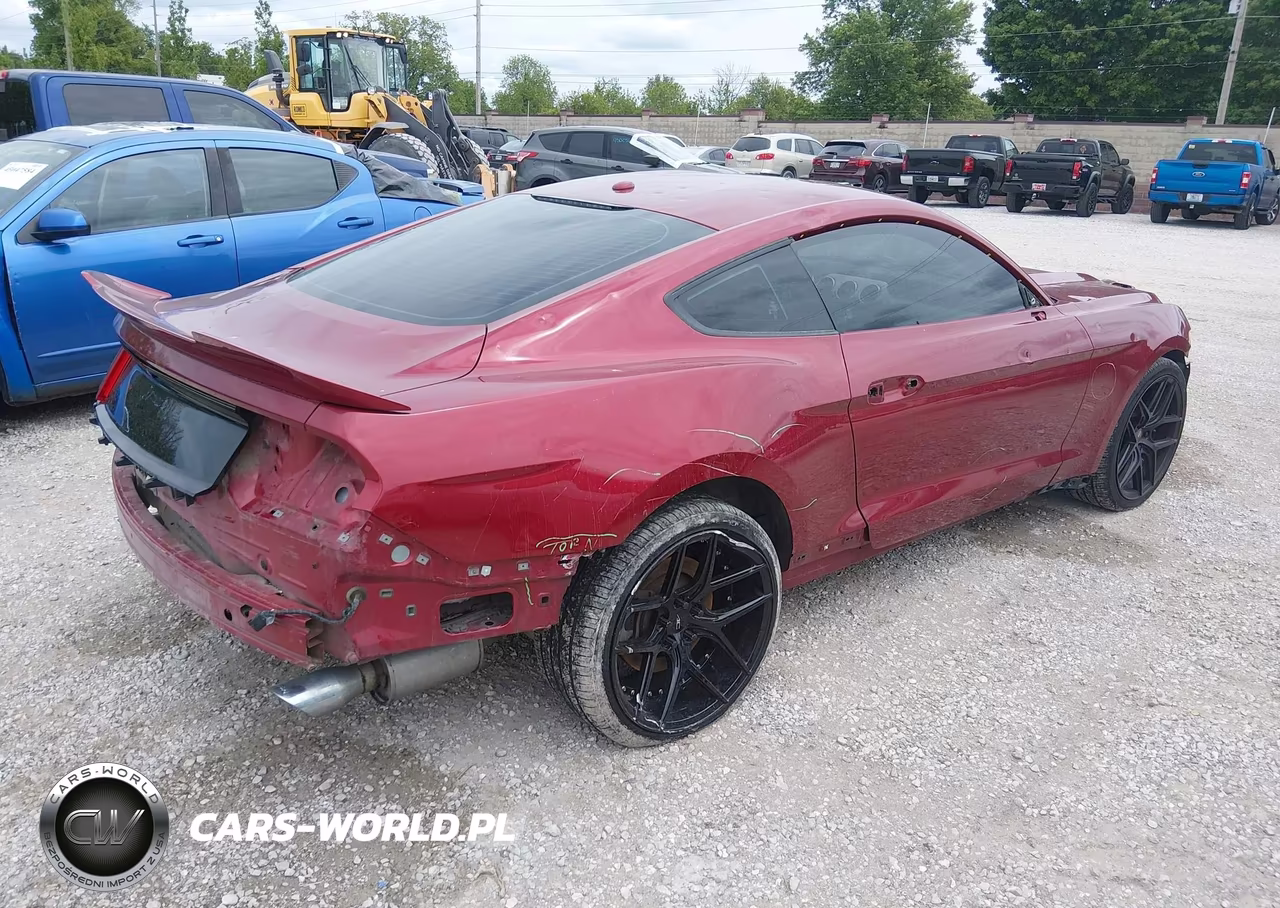 2015 Ford Mustang Gt Premium VIN:1FA6P8CF4F5425338 - 4