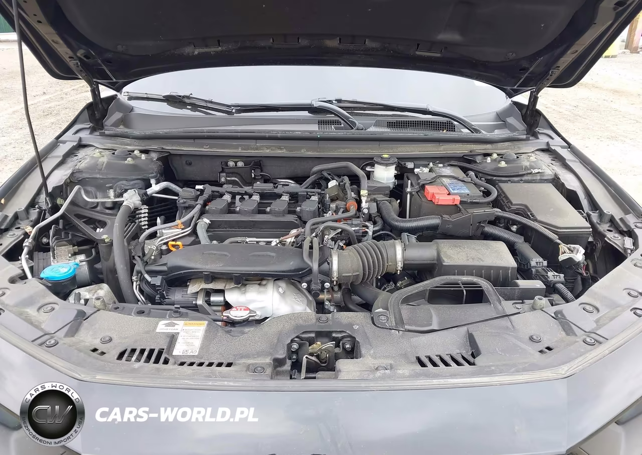 2024 Honda Accord Ex VIN:1HGCY1F3XRA031925 - 10