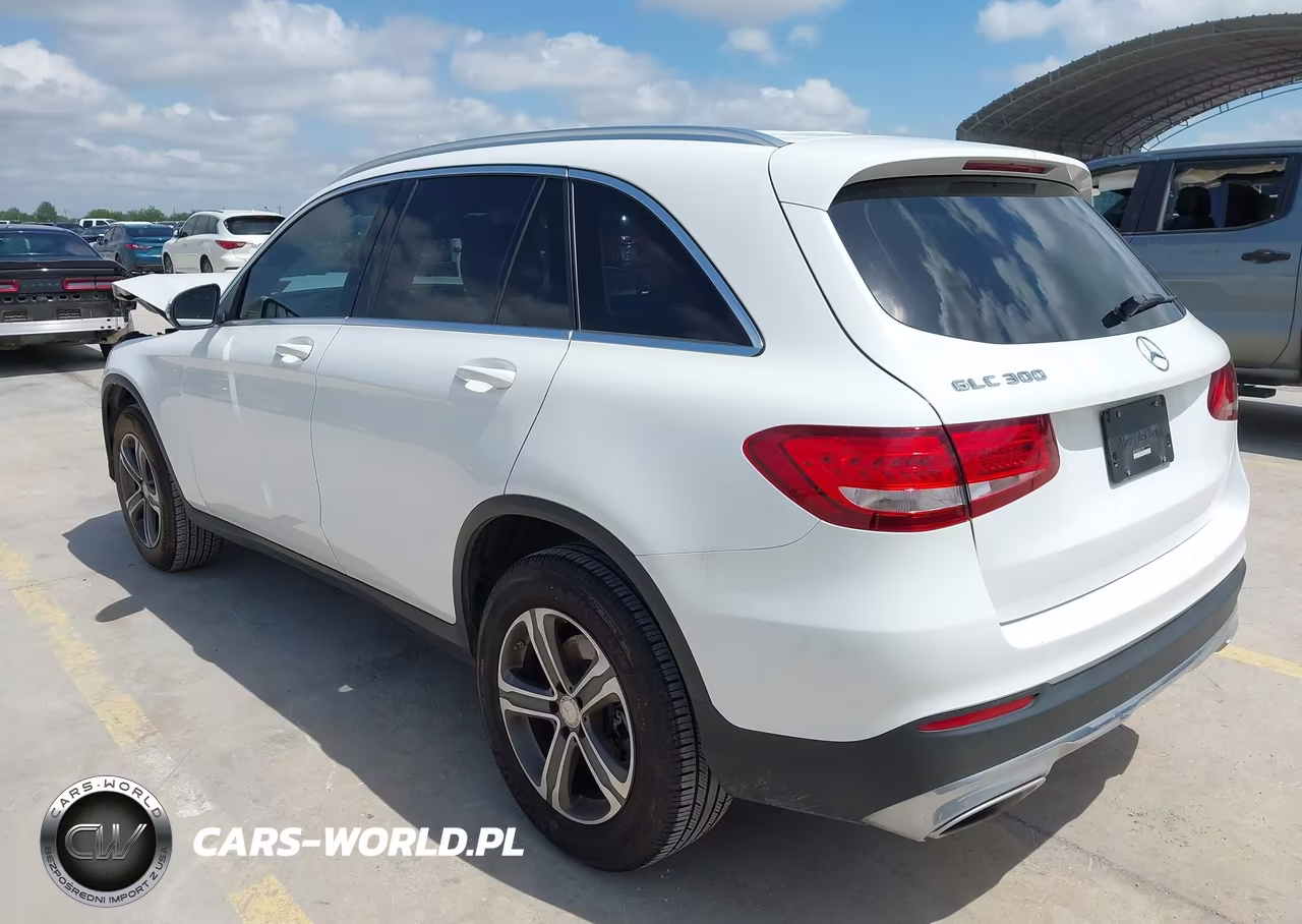 2017 Mercedes-Benz Glc 300 VIN:WDC0G4JB9HF165129 - 3