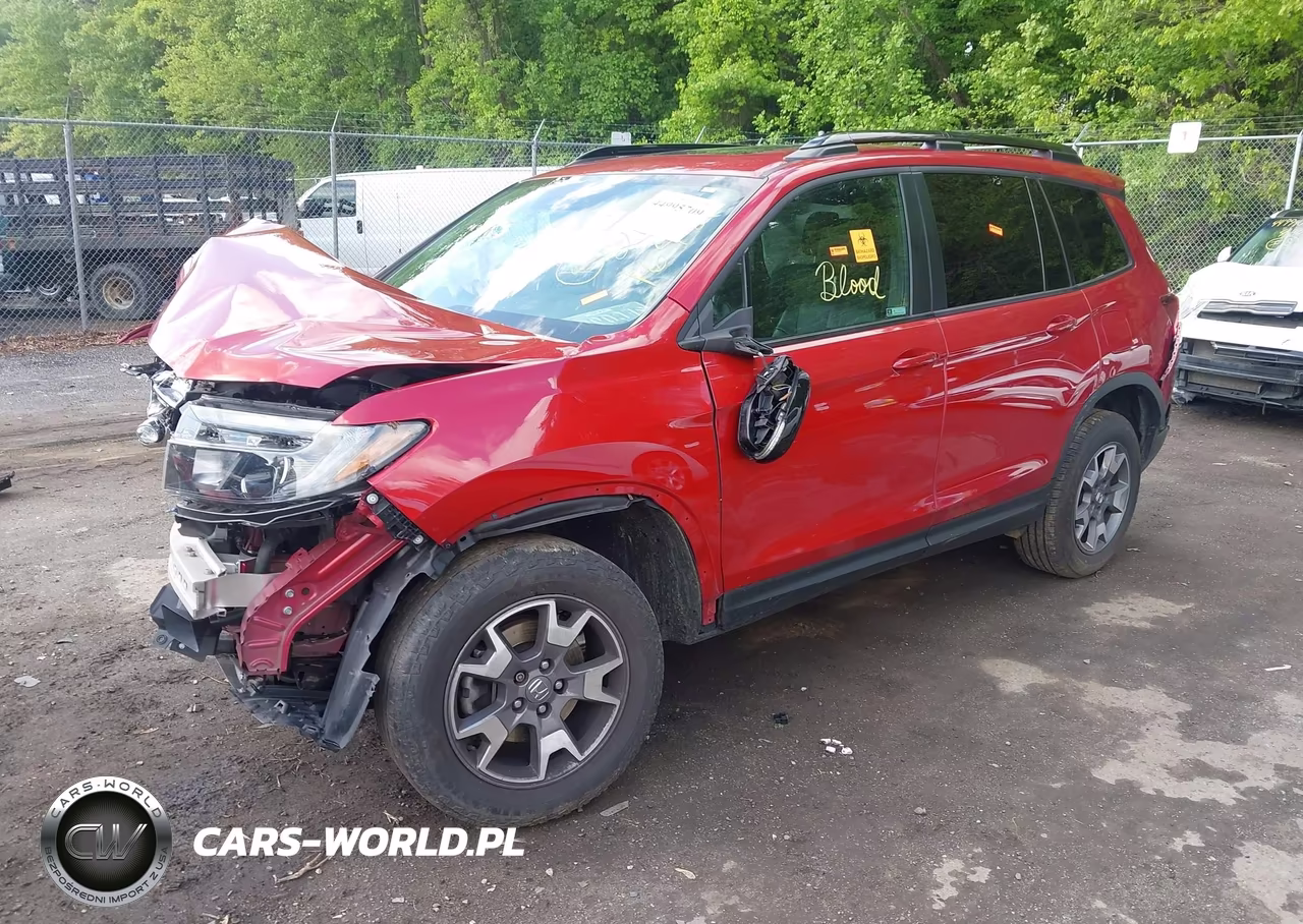 2022 Honda Passport Awd Trailsport VIN:5FNYF8H6XNB012769 - 2