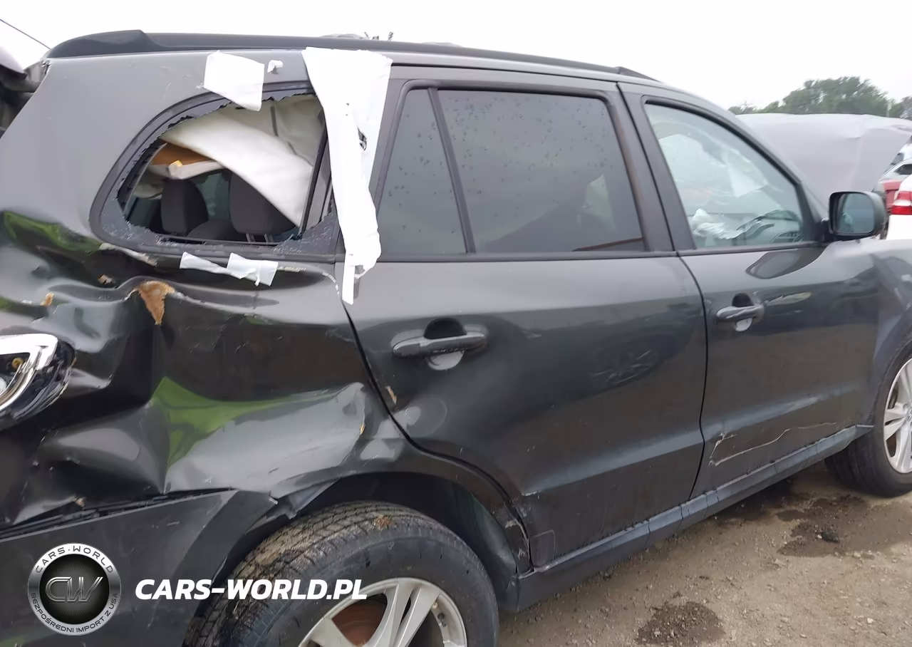 2010 Hyundai Santa Fe Gls VIN:5NMSG3AB5AH401423 - 6