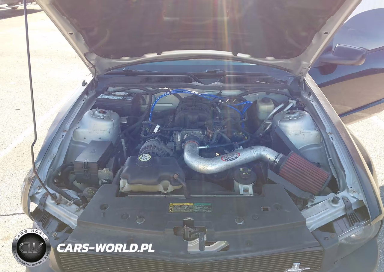 2007 Ford Mustang V6 Deluxe-V6 Premium VIN:1ZVFT80N175294983 - 10