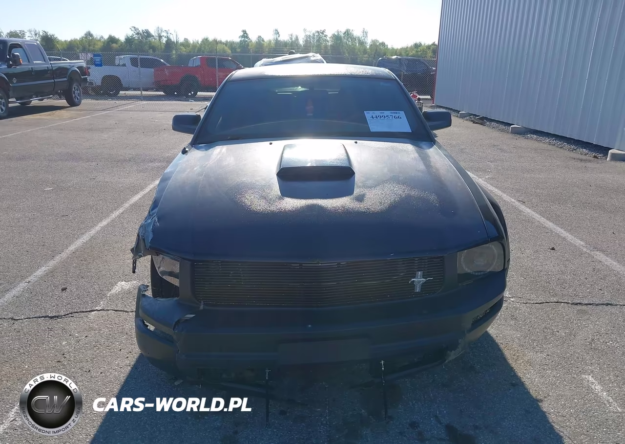2007 Ford Mustang V6 Deluxe-V6 Premium VIN:1ZVFT80N175294983 - 13