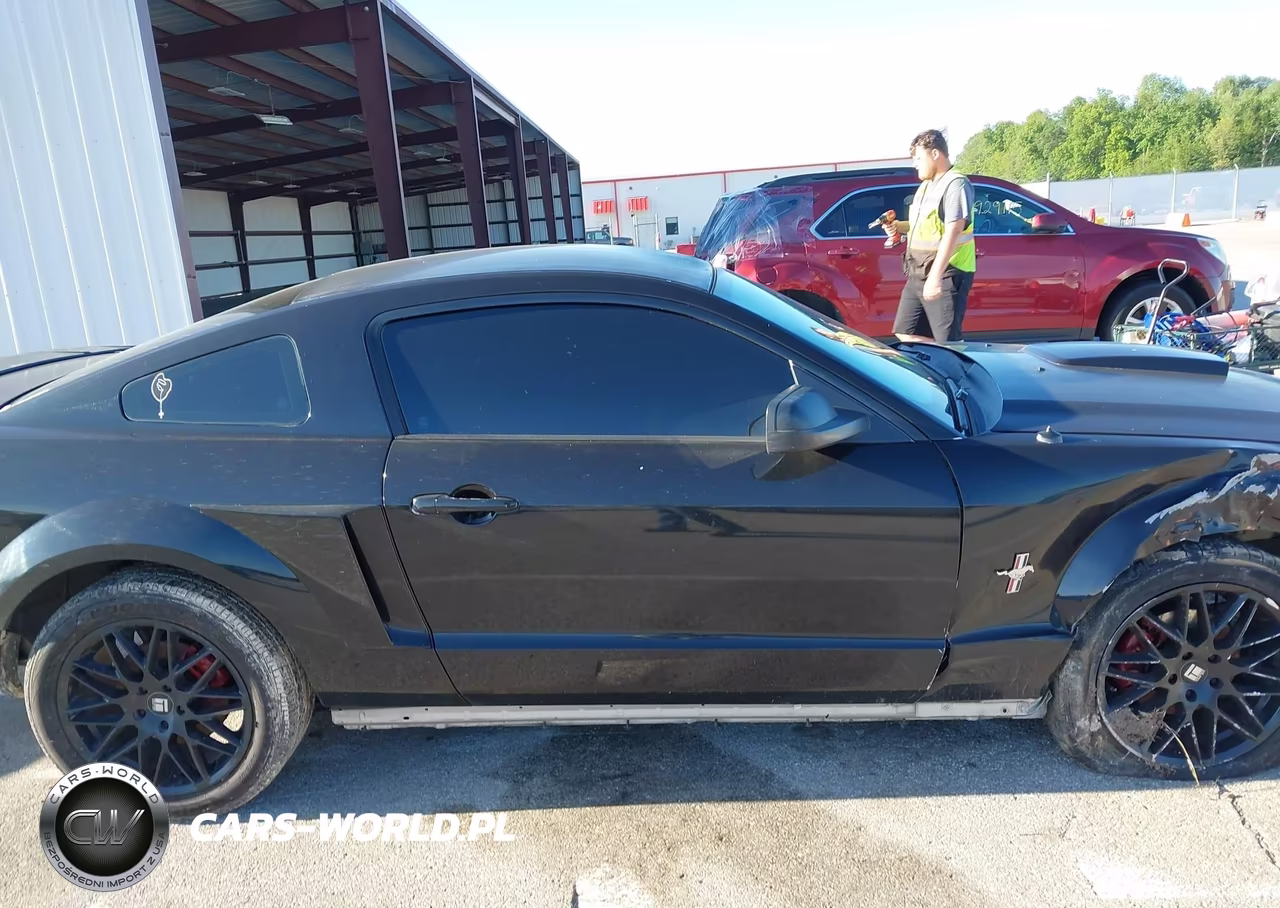 2007 Ford Mustang V6 Deluxe-V6 Premium VIN:1ZVFT80N175294983 - 14