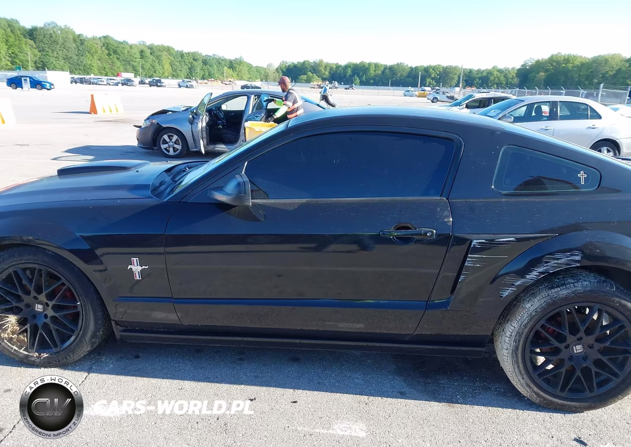 2007 Ford Mustang V6 Deluxe-V6 Premium VIN:1ZVFT80N175294983 - 15