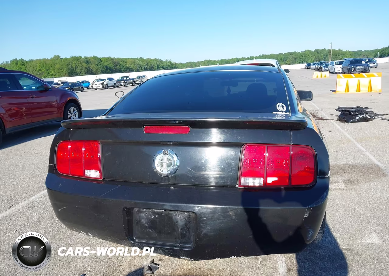 2007 Ford Mustang V6 Deluxe-V6 Premium VIN:1ZVFT80N175294983 - 17