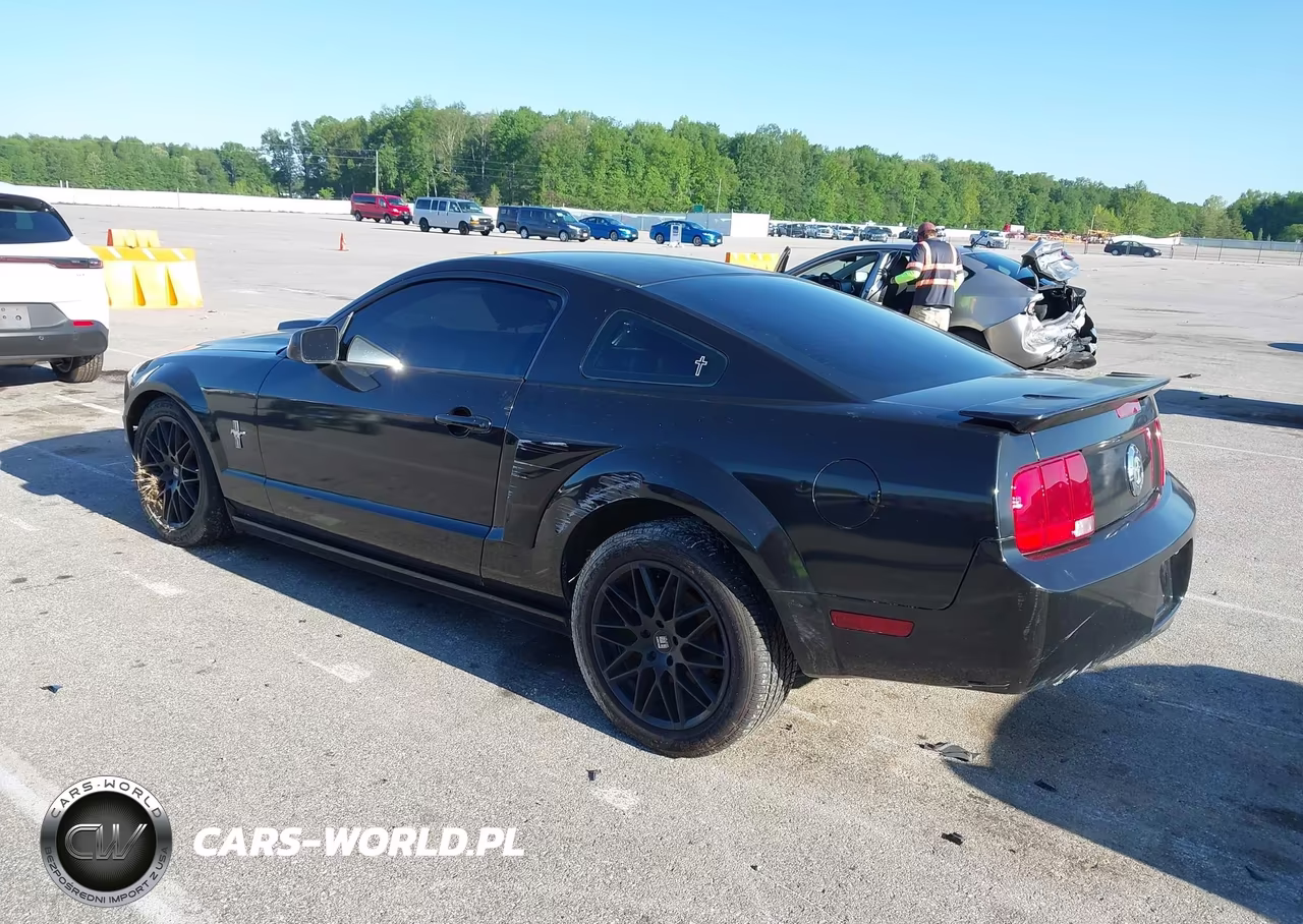 2007 Ford Mustang V6 Deluxe-V6 Premium VIN:1ZVFT80N175294983 - 3