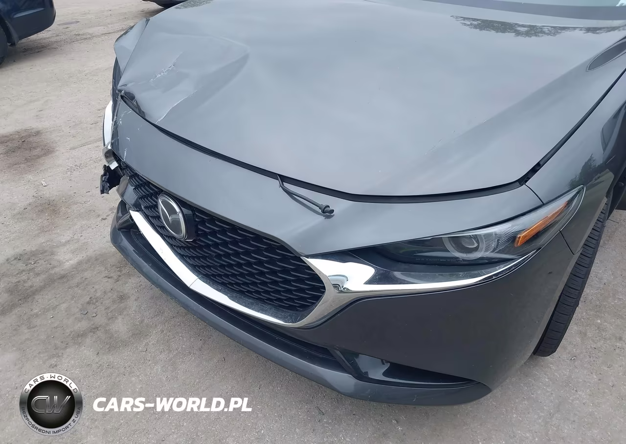 2019 Mazda Mazda3 Premium Package VIN:3MZBPAEM9KM104666 - 17