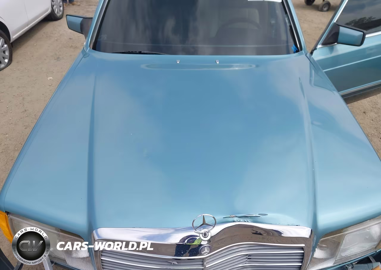 1991 Mercedes-Benz 560 Sel VIN:WDBCA39E5MA602658 - 10