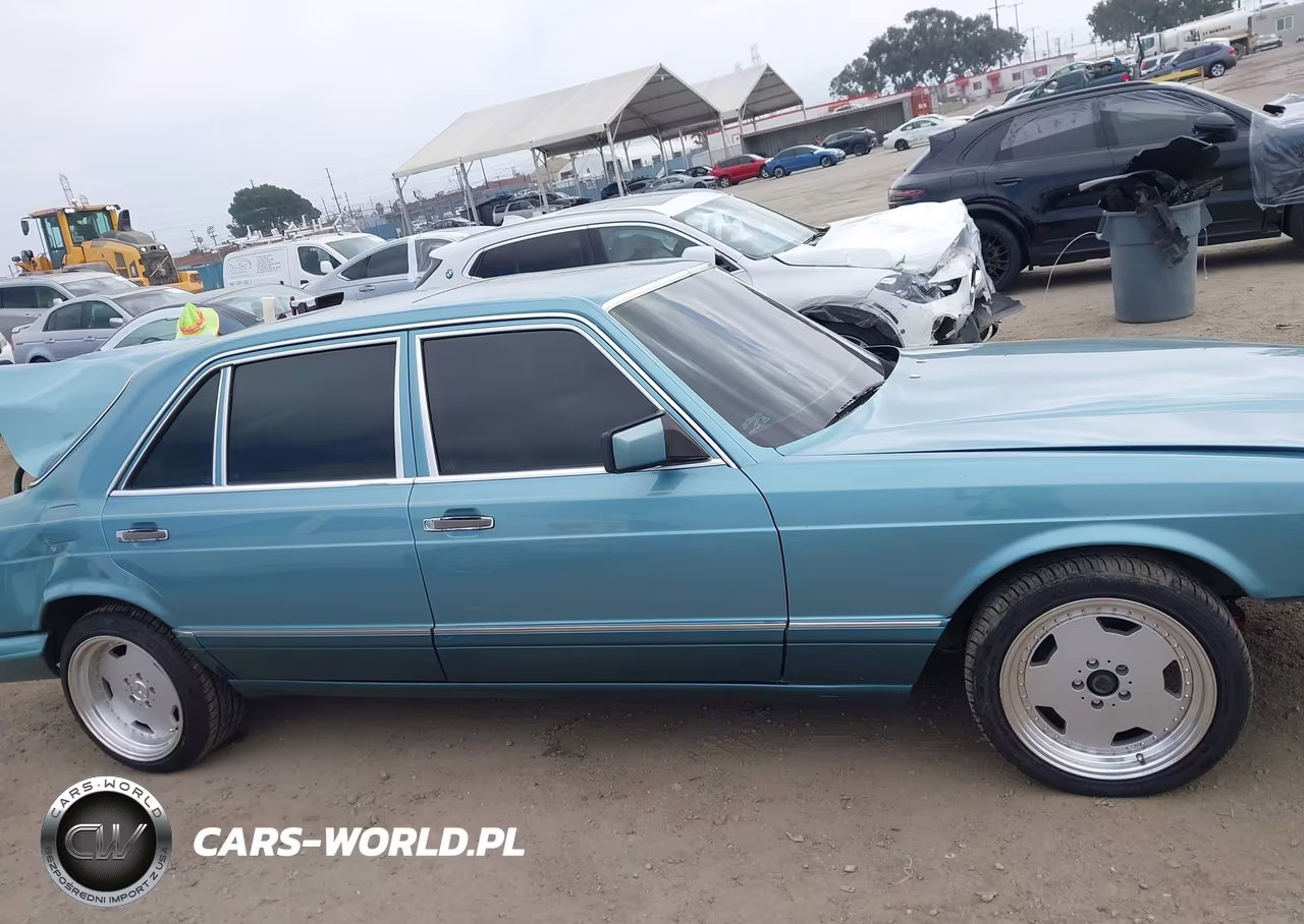1991 Mercedes-Benz 560 Sel VIN:WDBCA39E5MA602658 - 13