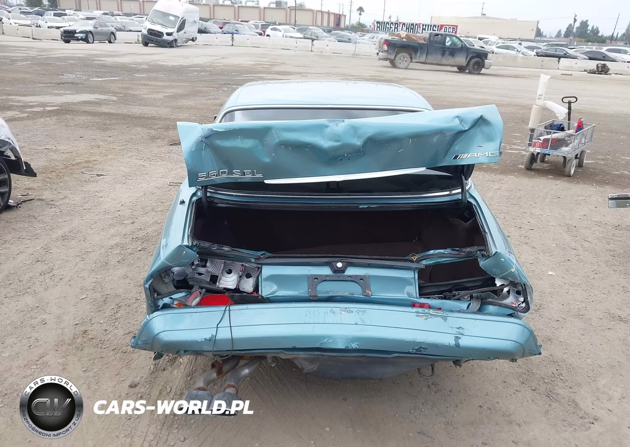 1991 Mercedes-Benz 560 Sel VIN:WDBCA39E5MA602658 - 16