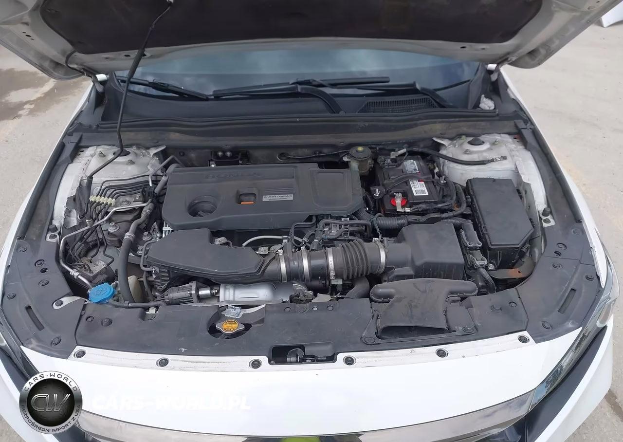 2019 Honda Accord Sport 2.0T VIN:1HGCV2F37KA009806 - 10