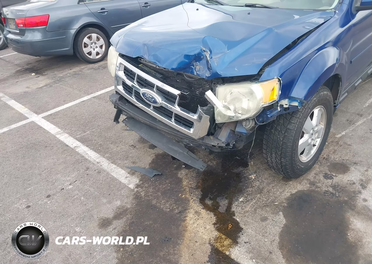 2008 Ford Escape Xlt VIN:1FMCU03Z98KE75976 - 6
