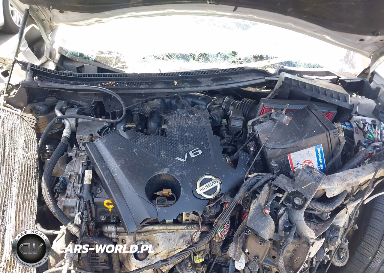 2014 Nissan Maxima 3.5 S-3.5 Sv VIN:1N4AA5AP2EC445118 - 10