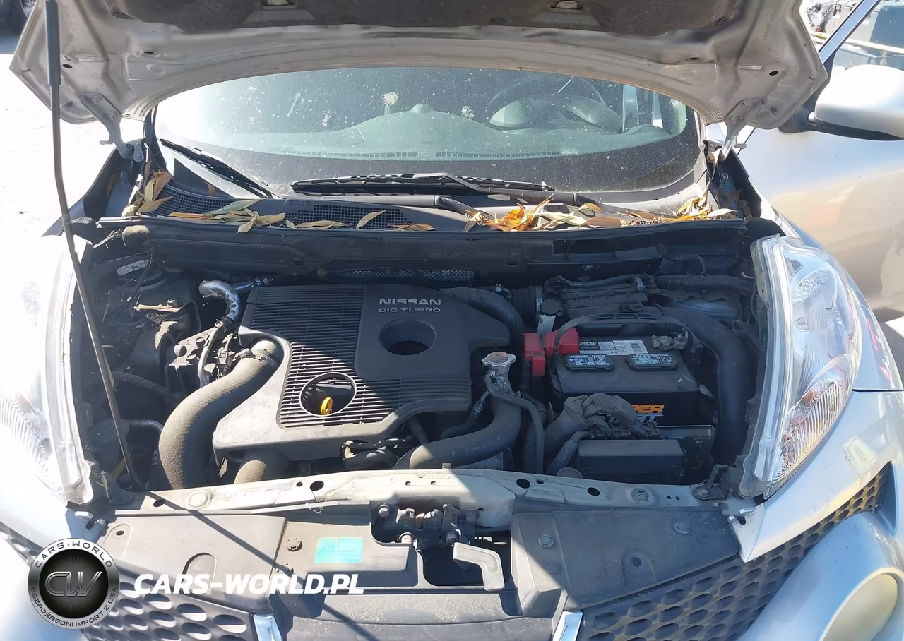 2011 Nissan Juke S VIN:JN8AF5MR4BT020461 - 10