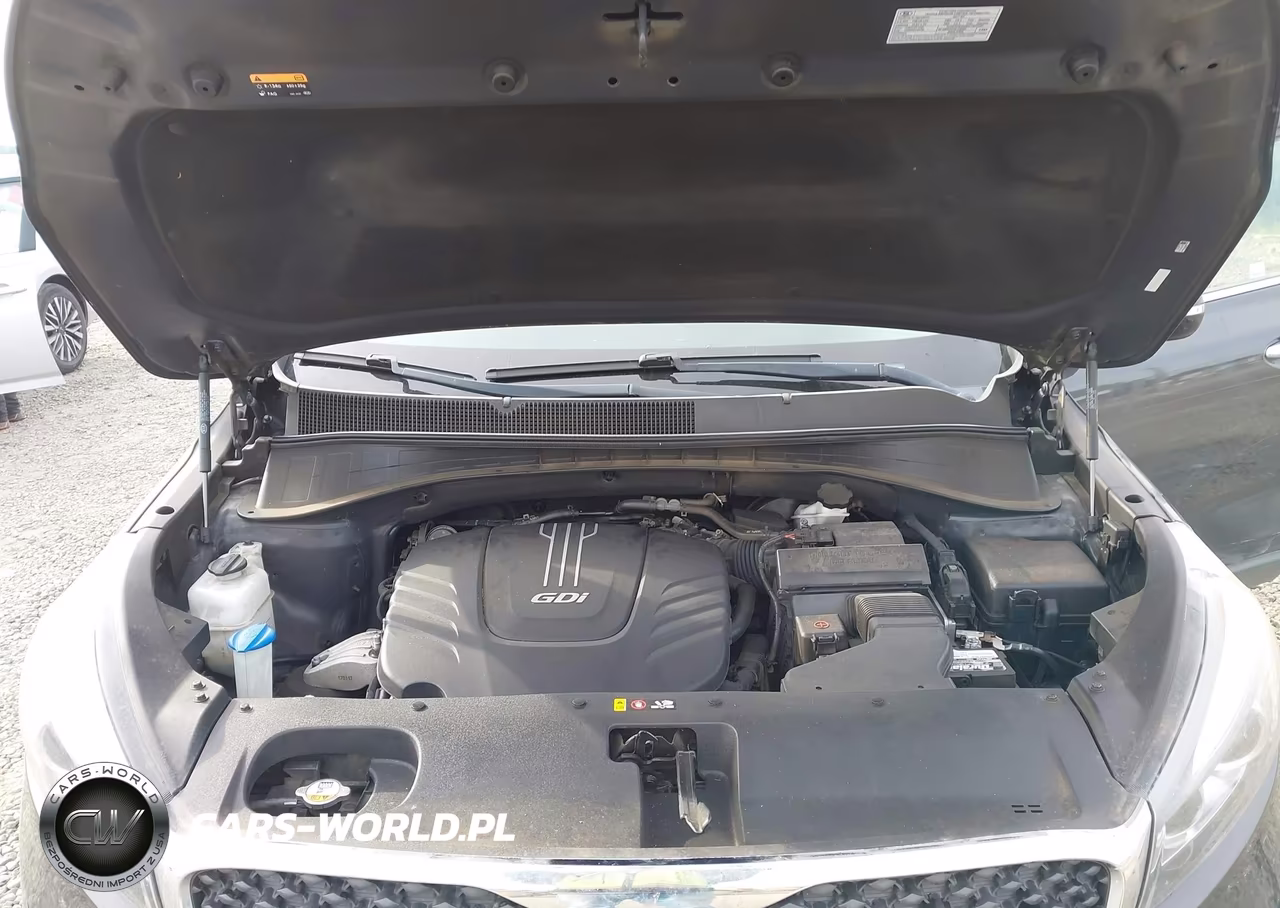 2017 Kia Sorento 3.3L Lx VIN:5XYPGDA53HG332595 - 10